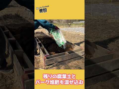 なぜレイズドベッドガーデニングを実践するのか、そしてスタンディングベッドの作り方は何ですか?  庭園