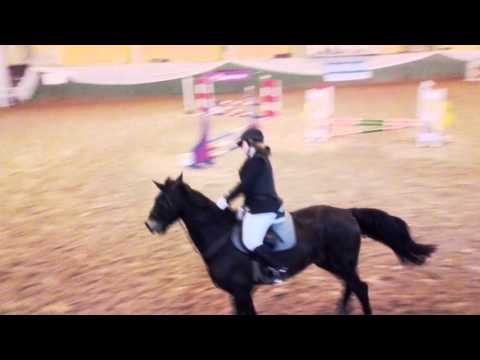 A 2015.12.06.(4) -  Anna Sahand pk1