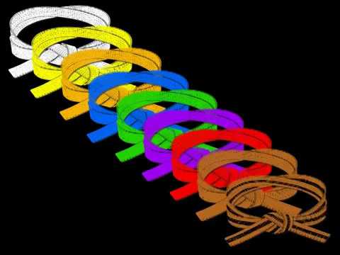 Martial Arts Belt Ranks
