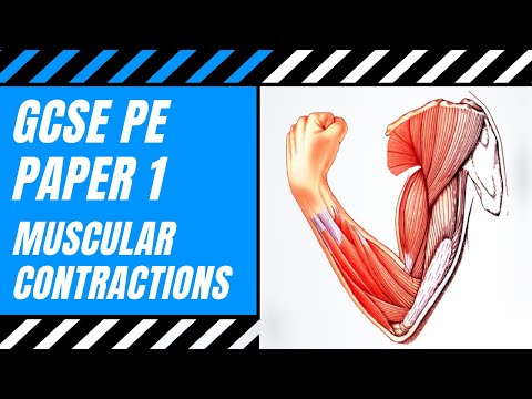 AQA GCSE PE: Isotonic, Concentric, Eccentric & Isometric | Types of Muscle Contraction | Paper 1