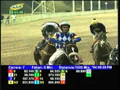 Resumen Domingo, 22 de Noviembre de 2015 - La Rinconada