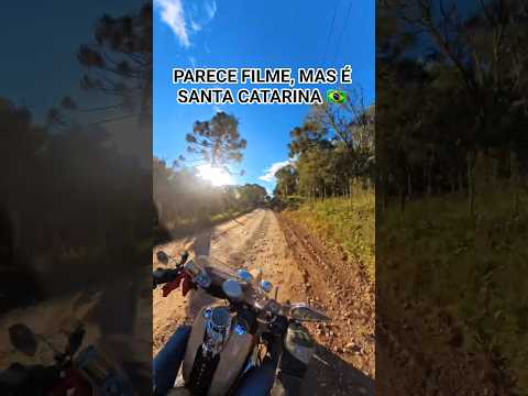 Parece Filme, Mas é Santa Catarina 🇧🇷✨ Viagem de Moto Harley-Davidson pela Serra Catarinense