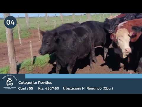 Lote NV - Huinca REnancó Cba