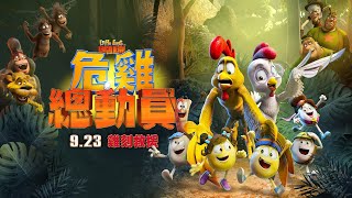 🥚今夏最逗趣！🐣叢林冒險動畫電影【危雞總動員】🐔中文版預告❾.❷❸雞刻救援｜《神偷奶爸》《無敵破壞王》幕後團隊全新力作｜原創娛樂 Creative Century Ent.
