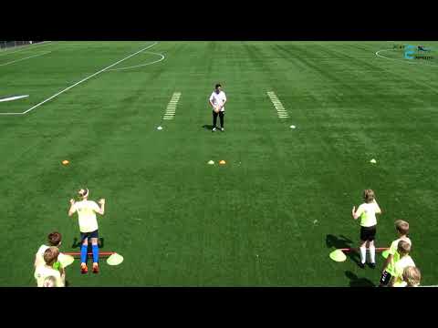 TRAININGSVORM UITGELICHT (3/3) (2018)