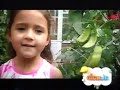 Nick Jr 15