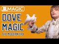 The History Of Dove Magic The Modern Era
