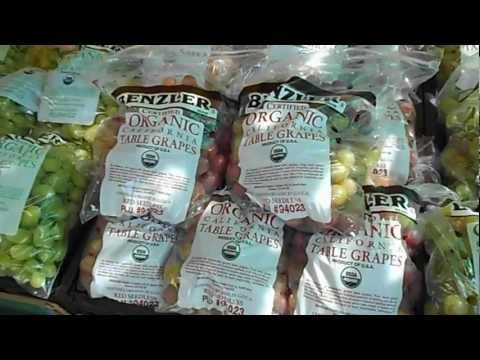 download lagu mp3 mp4 Autumn Royal Grapes, download lagu Autumn Royal Grapes gratis, unduh video klip Autumn Royal Grapes