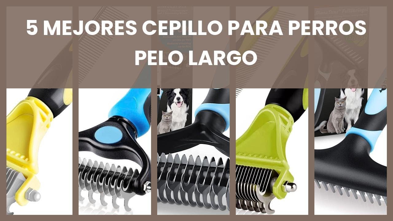 Cepillo para perros pelo largo: 5 mejores cepillo para perros pelo largo