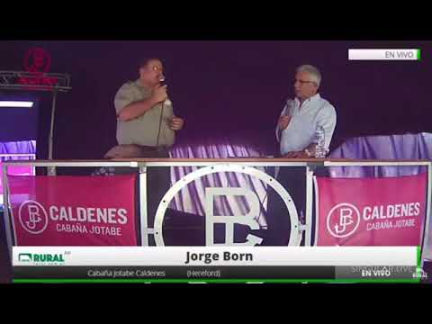 1º Venta de Vientres de Fin de Año