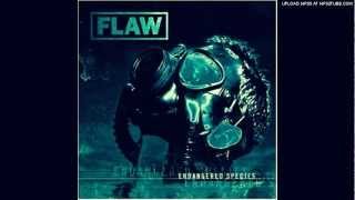 Flaw - Many Faces