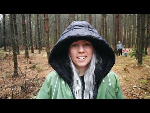 Střecha nad hlavou pro skřítka Edulína