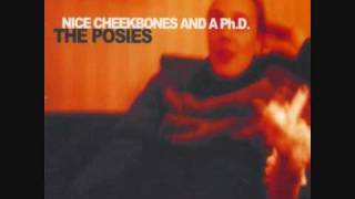 The Posies - Chainsmoking in the USA