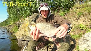 Ссылка