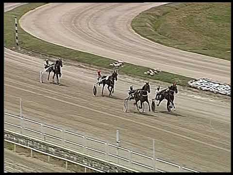 Trotto 11/06/2020 - 3ª prova di qualifica