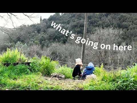 snapshots from a week on an Italian homestead
