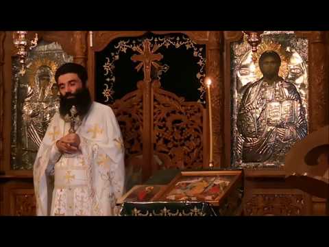 20180722 NICOLAE BALASOIU - DUMINICA A 8 A DUPA RUSALII – INMULTIREA PAINILOR