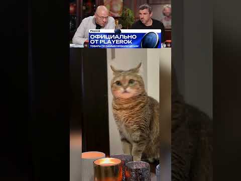 ЗАСМЕЯЛСЯ-ПОДПИСАЛСЯ Ч.049😂ПРИКОЛ С КОШКОЙ🤣