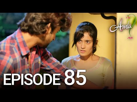 Amla Episode 85 | Hindi Drama | Kya Qusoor Hai Amala Ka?