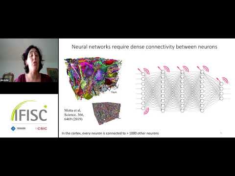 Physics for neuromorphic computing