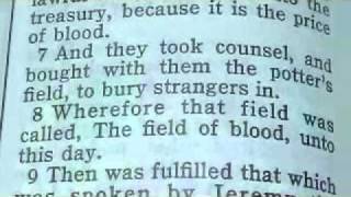 971 Matthew 27 Acts 1 Chronological Bible (Judas' Suicide)