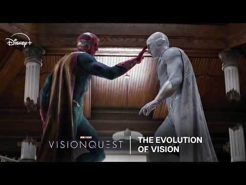 The Evolution of Vision