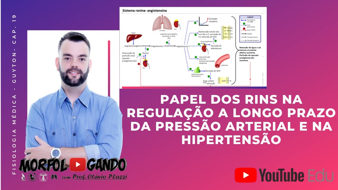 Papel dos Rins na Regulação a Longo Prazo da Pressão Arterial - Guyton Cap.19 - Prof. Otávio Plazzi