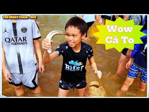 TRƯỜNG THCS PHAN TÂY HỒ K6 - 9 NGÀY 1 ( THE GREAT FARM - BCV )