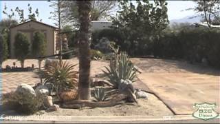 preview picture of video 'CampgroundViews.com - Two Springs RV Resort North Palm Springs California CA'