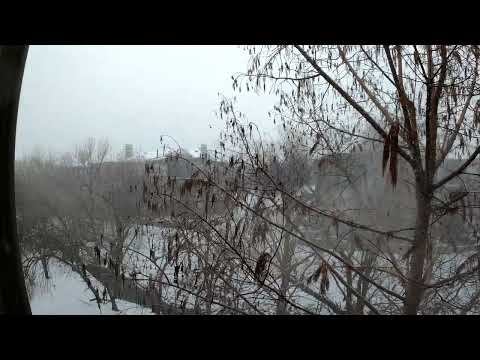 02/03/2022 Raw Snowfall Footage