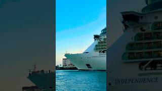 Independence of the Seas 🛳️ #like #share #comment #subscribe #cruiseship #cruise #vacation #shorts