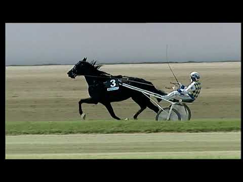 Napoli Trotto 02/05/2021 - 4ª corsa