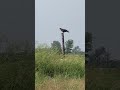 Kaise Din Bite Koi Jatan Bta Ja