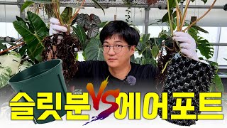에어 포트는 진짜 마술 화분일까?