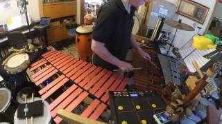 Cats Percussion Cam: The Jellicle Ball