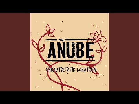Kanpazar 1975 - añube