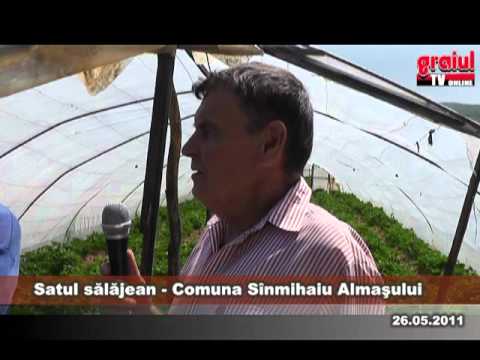 Satul Salajean - Comuna Sinmihaiu Almasului