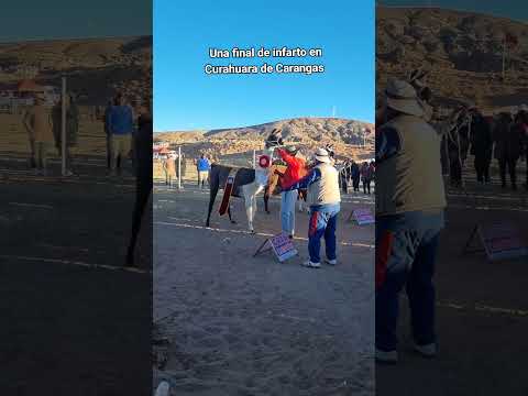 Maya gran campeona aquí en #Curahuara_de_Carangas #Oruro #Bolivia