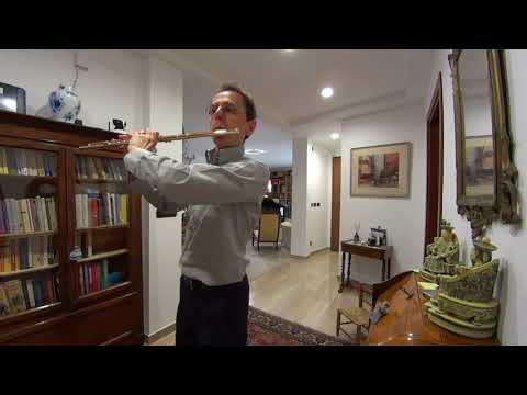 Giampaolo Pretto: The Quarantine Microconcerts - 4 - G. P. Telemann Fantasia nr. 3 in B minor (HD)