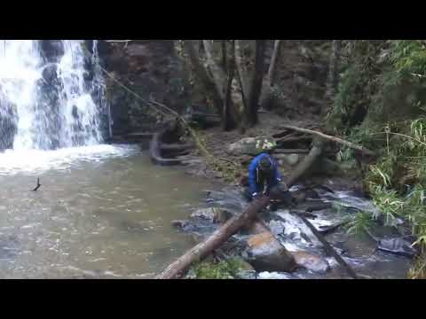Cascada de Menque Tome biobio 