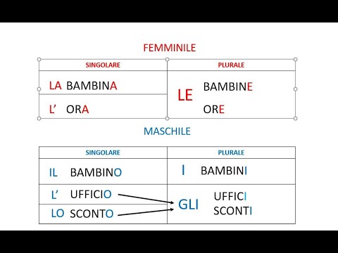 13. Plural definite articles