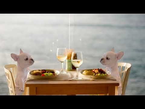 Tango Passion 2 - Alex Khaskin