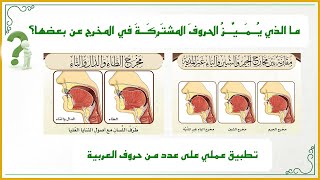 صورة دقائق تجويدية 12: ما الذي يُــمَيِّـزُ الحروفَ المشتَرِكَةَ في المخرج عن بعضها؟ (تطبيقات عملية)