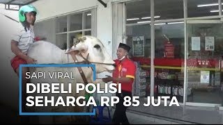 Videonya Sempat Viral, Sapi yang Dinaiki Menuju Minimarket Dibeli Polisi Seharga Rp 85 Juta
