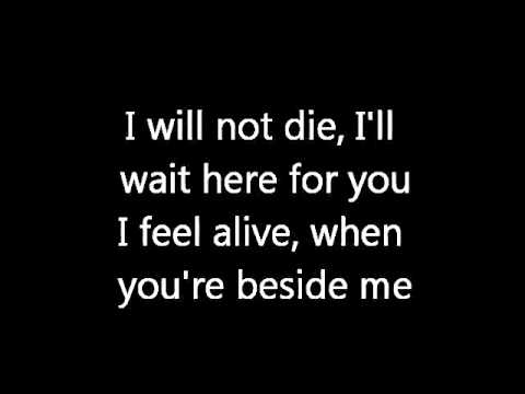Three Days Grace - Time of Dying (lyrics)