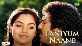 Download lagu Paniyum Naane - Audio Song | Pani Malar | Shankar-Ganesh | S.P. Balasubrahmanyam, Jency mp3 Download lagu Paniyum Naane - Audio Song | Pani Malar | Shankar-Ganesh | S.P. Balasubrahmanyam, Jency mp3