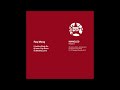 Ray Mang - Inner City Disco