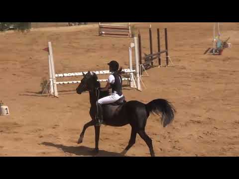 CSO Show Jumping Competition Springhills Lebanon - 10/6/2018