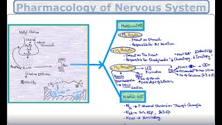 Pharmacology of Nervous System