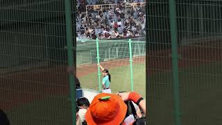 【TeamTaiwan】#黃潮降臨 #衣宸 #包子 #禹菡 #冬季聯盟@斗六棒球場 20241130 #台湾チア #啦啦隊  #cheerdance #cheerleader #cpbl #awb